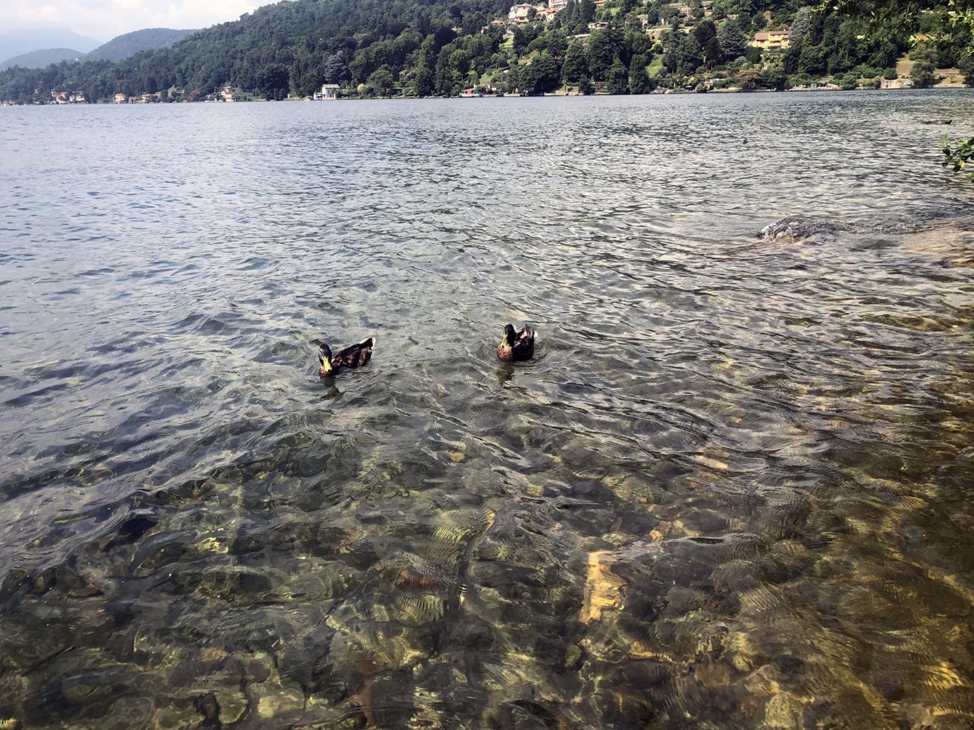 Appartamento Vacanze Al Lago Orta San Giulio Exterior foto