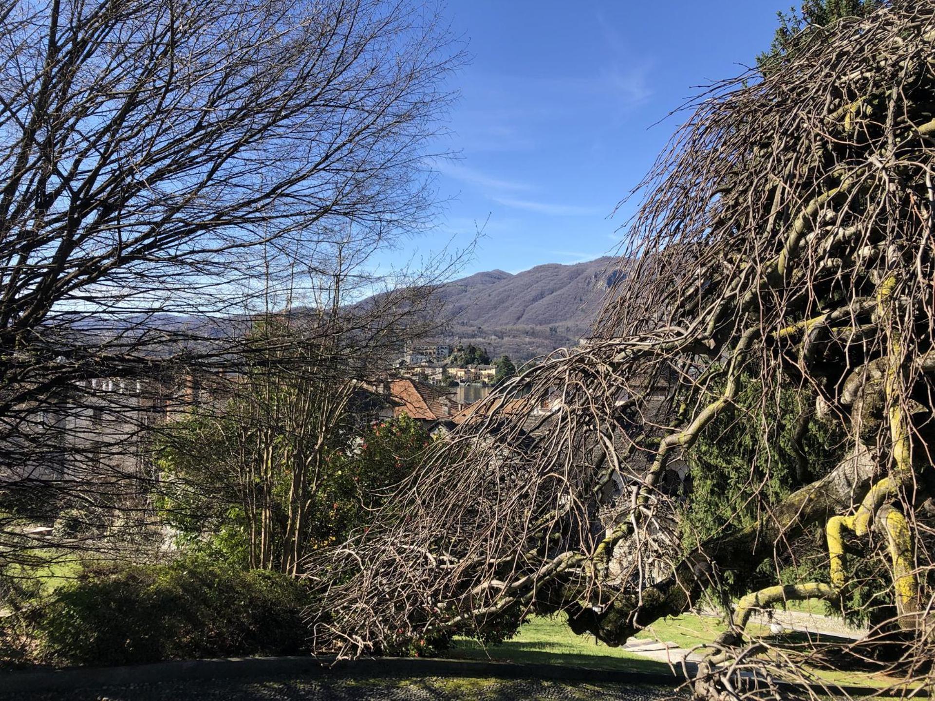 Appartamento Vacanze Al Lago Orta San Giulio Exterior foto